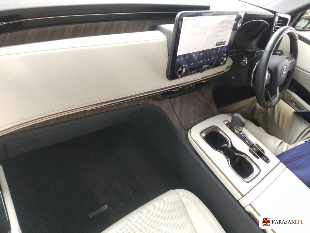 2025 Lexus LM 4WD LM500H Version L 5
