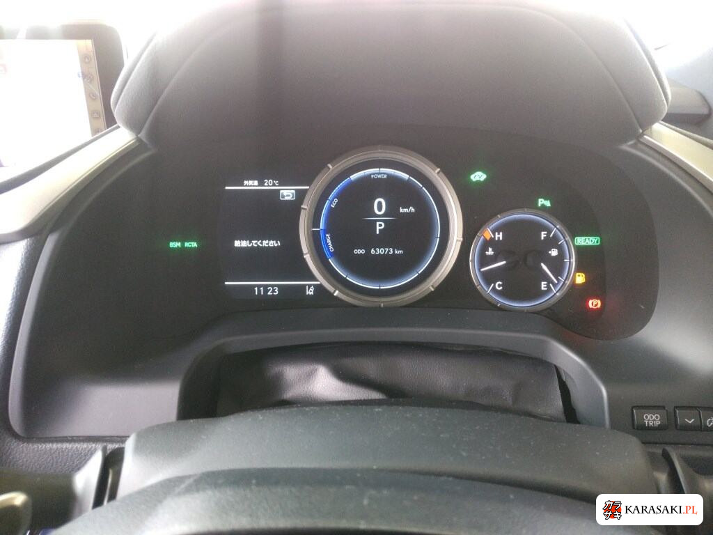 2018 Lexus RX 4WD RX450H F Sport 6
