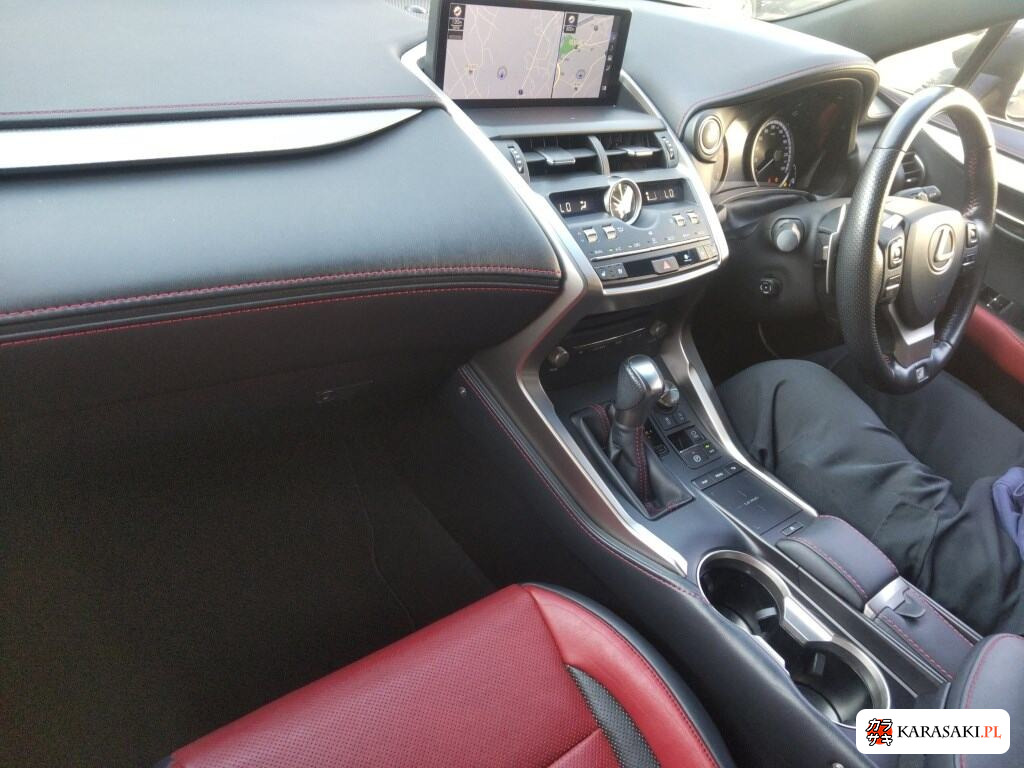 2017 Lexus NX 4WD NX300 F Sport 5