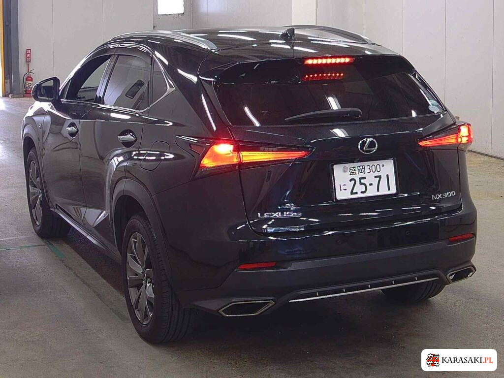 2017 Lexus NX 4WD NX300 F Sport 2