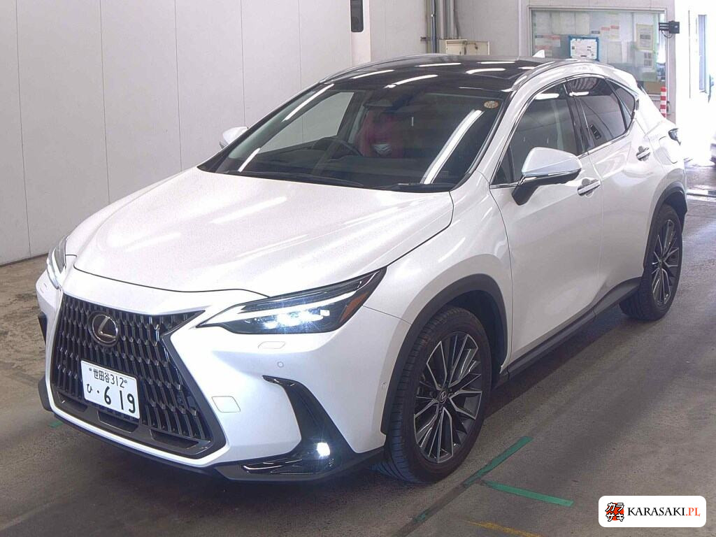 Lexus NX 2023 z aukcji japońskiej