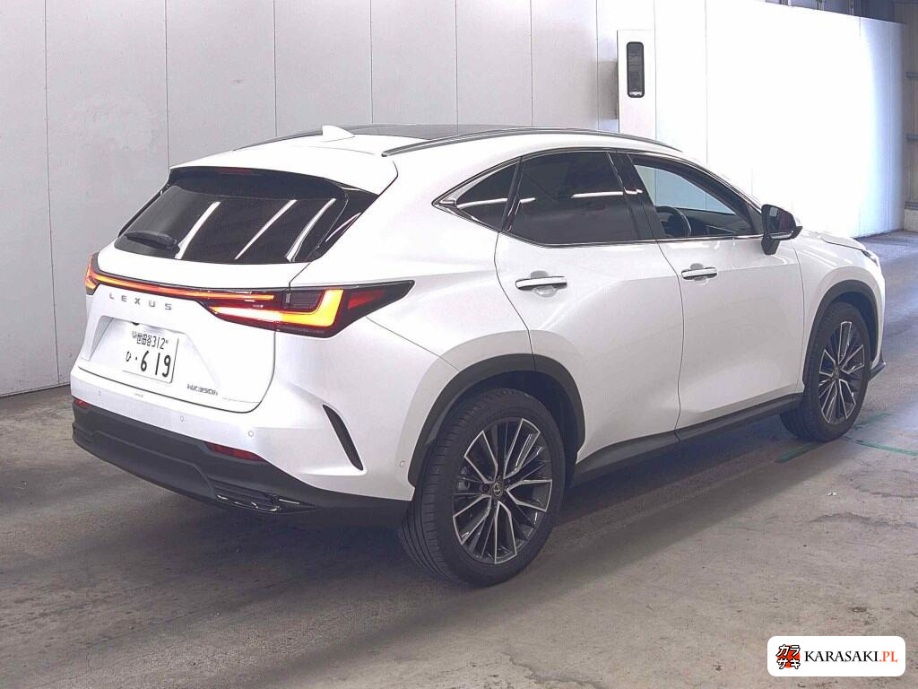 Lexus NX 2023 z aukcji japońskiej