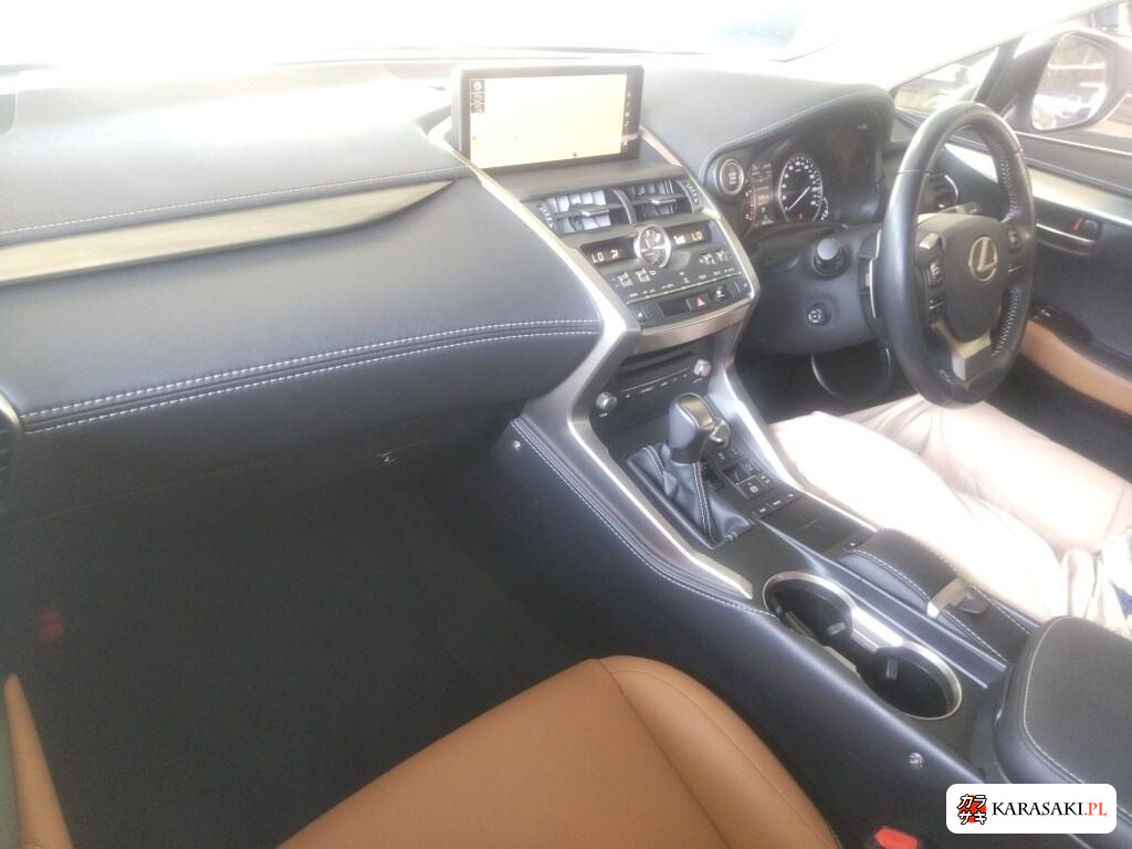 2018 Lexus NX NX300 I Package 5