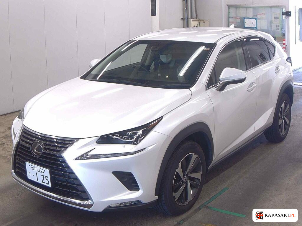 2018 Lexus NX NX300 I Package 3