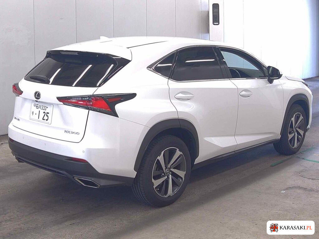 2018 Lexus NX NX300 I Package 4