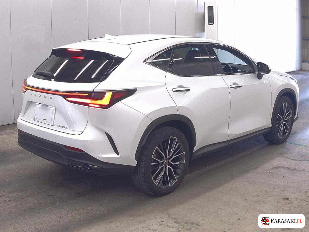 2023 Lexus NX NX350H Version L 4