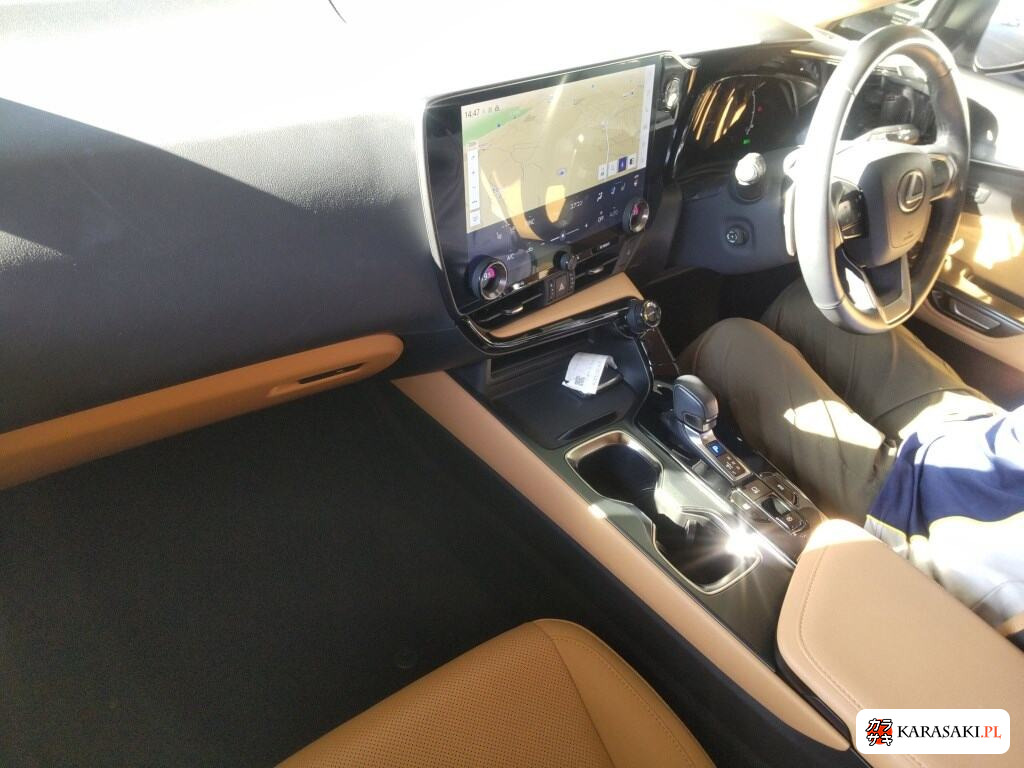 2023 Lexus NX NX350H Version L 5
