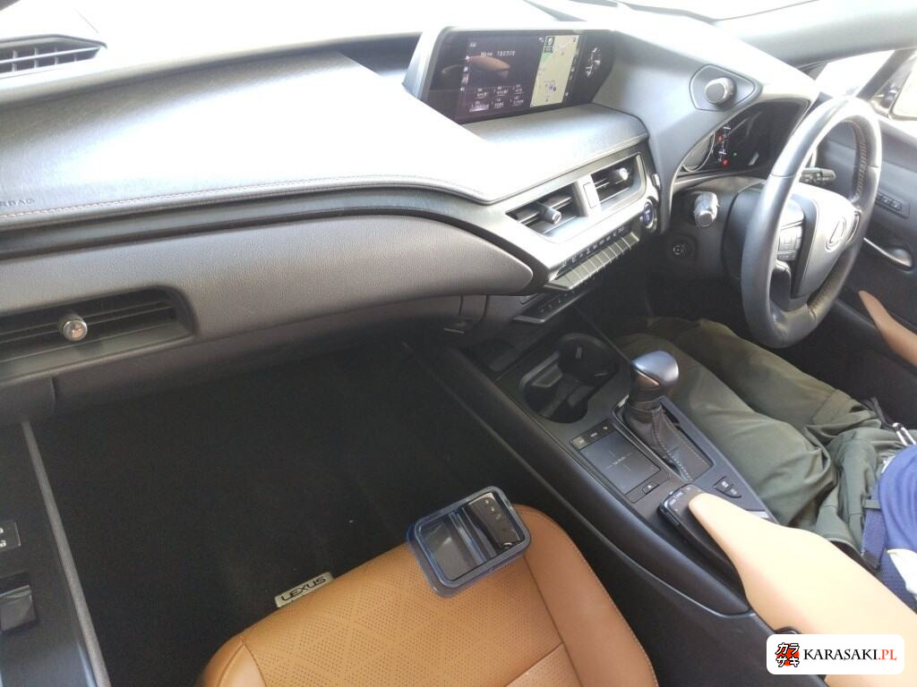 2018 Lexus Ux 4WD UX250H Version L 5