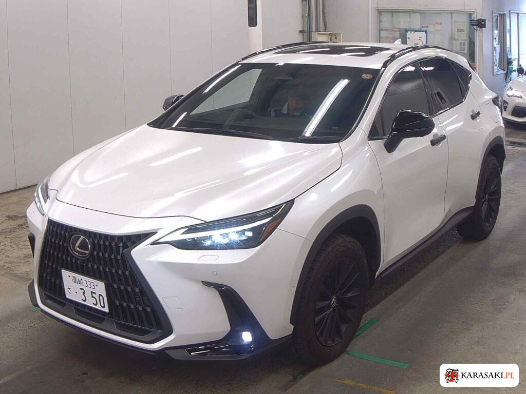 2024 Lexus NX 4WD NX350H Over Trail 3