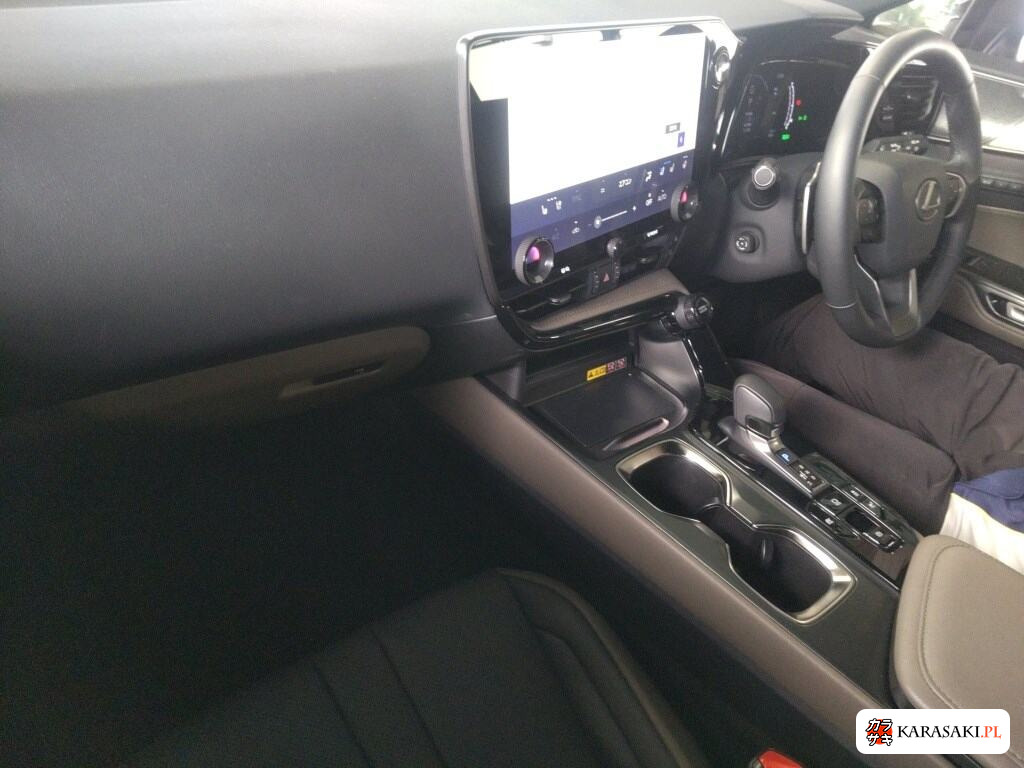 2024 Lexus NX 4WD NX350H Over Trail 5