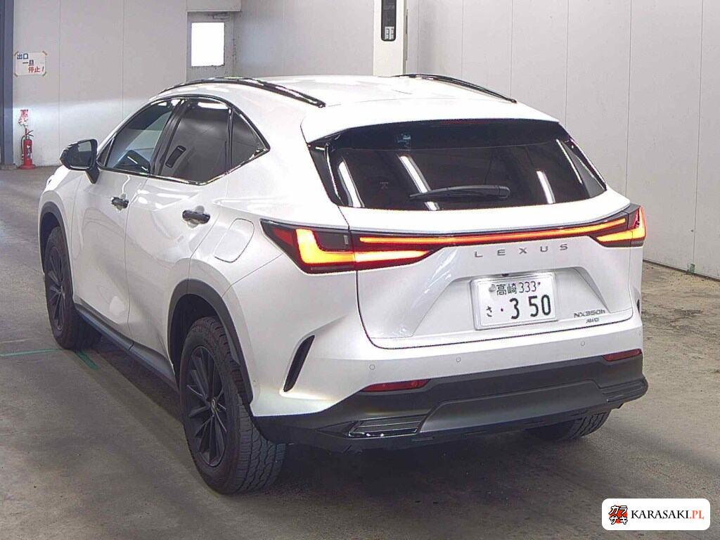 2024 Lexus NX 4WD NX350H Over Trail 2