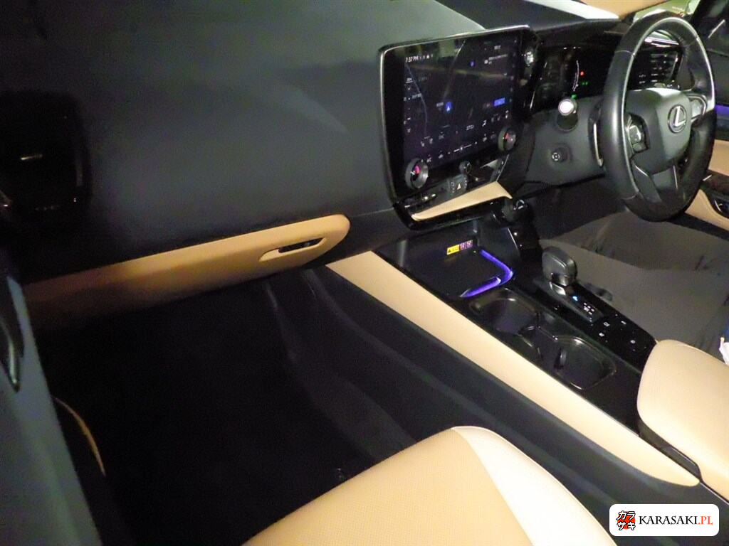 2024 Lexus NX NX350H Version L 5