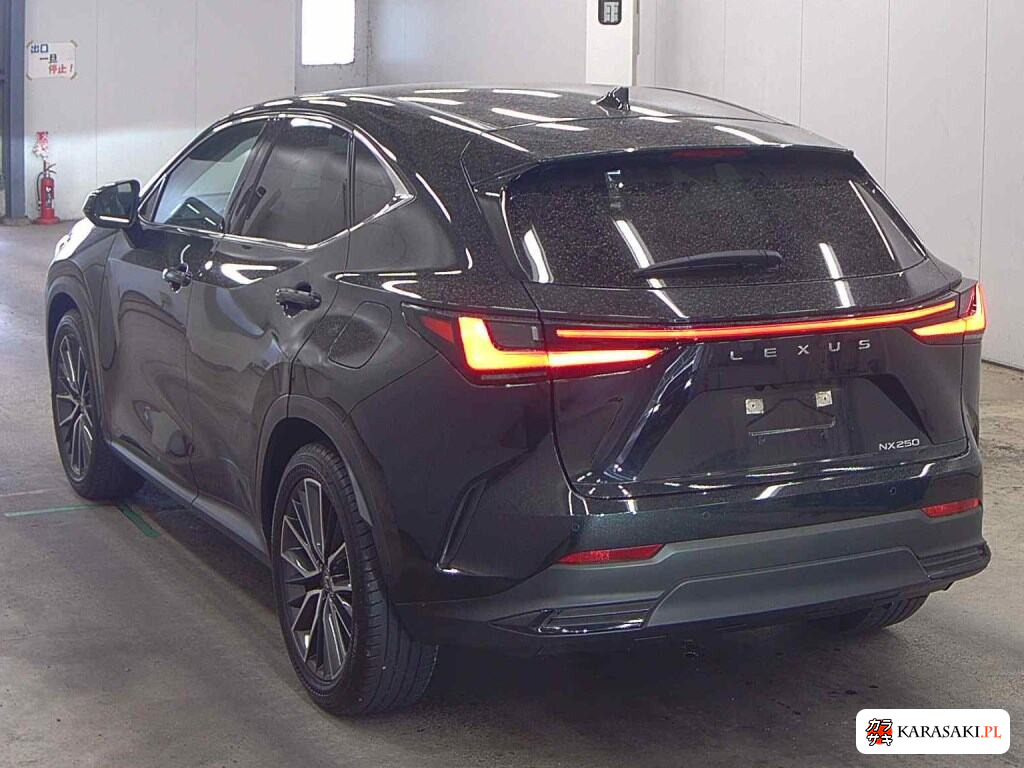 2024 Lexus NX NX250 Version L 2