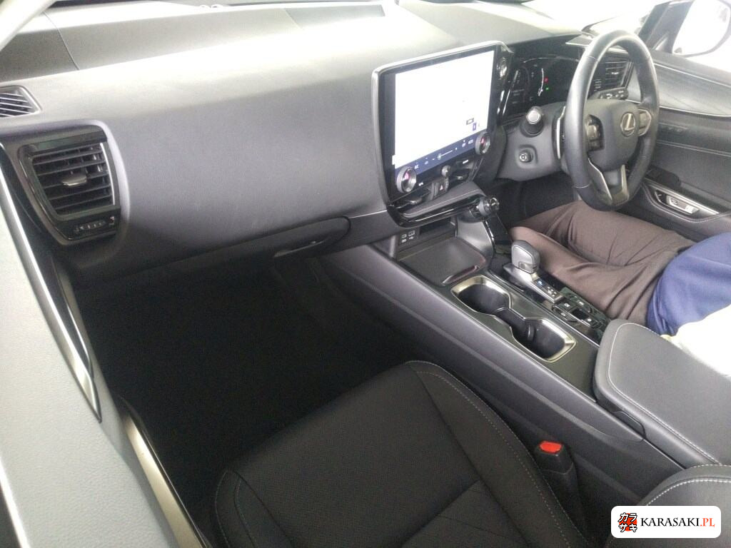 2024 Lexus NX NX250 Version L 5