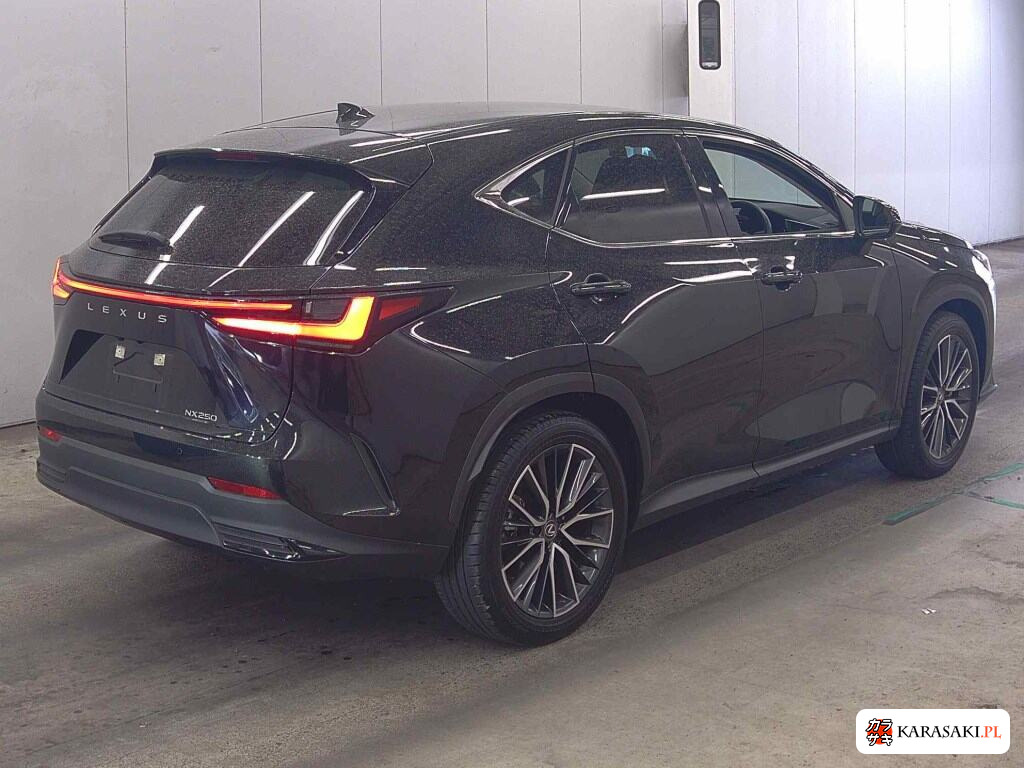 2024 Lexus NX NX250 Version L 4