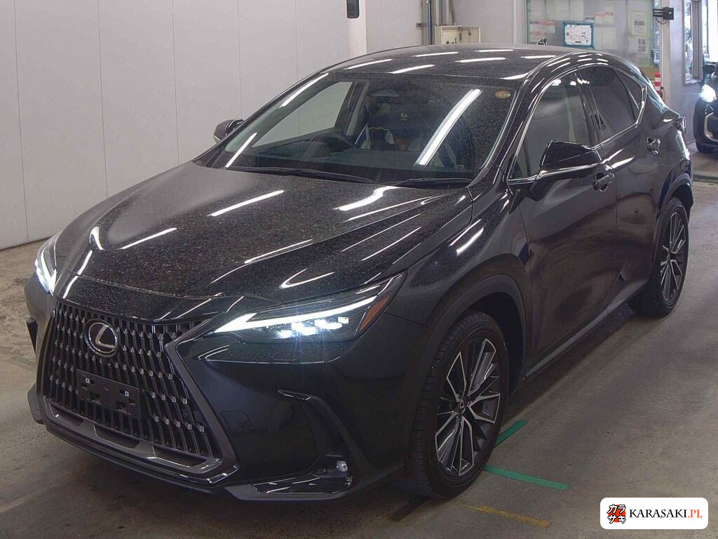 2024 Lexus NX NX250 Version L 3