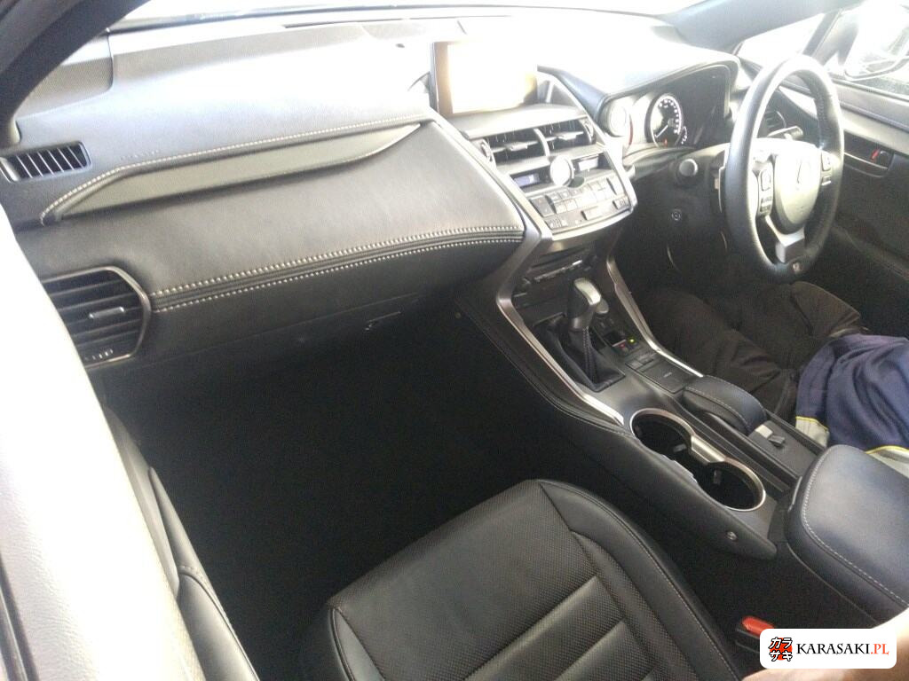 2014 Lexus NX NX200T F Sport 5