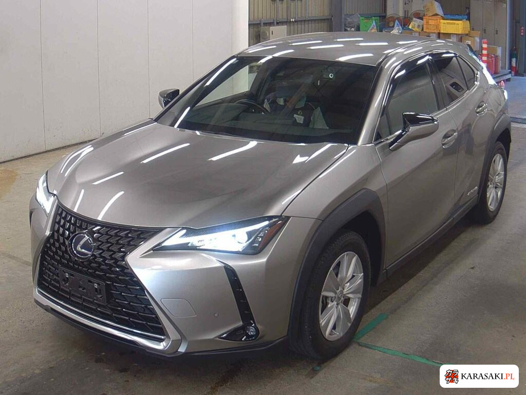 2021 Lexus Ux UX250H Version C 3