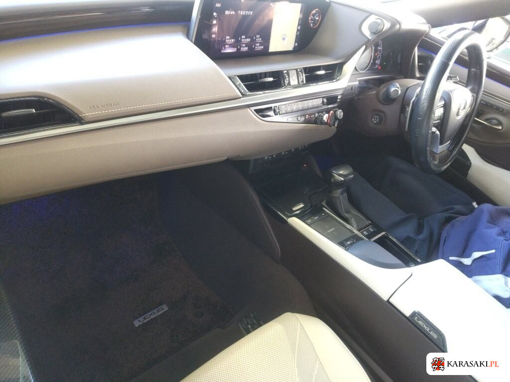 2020 Lexus Es ES300H Version L 5