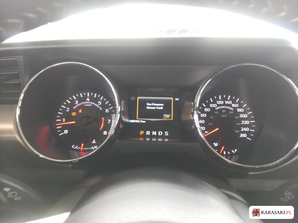 2015 Ford Mustang CP 50 Years Edition 6