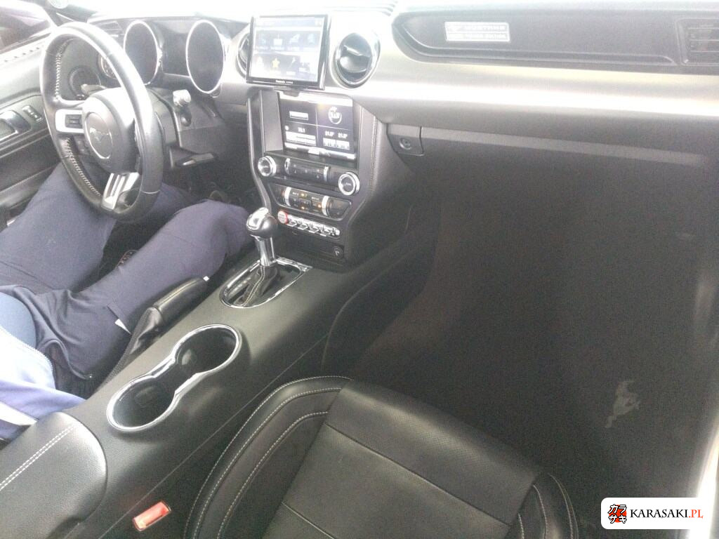 2015 Ford Mustang CP 50 Years Edition 5