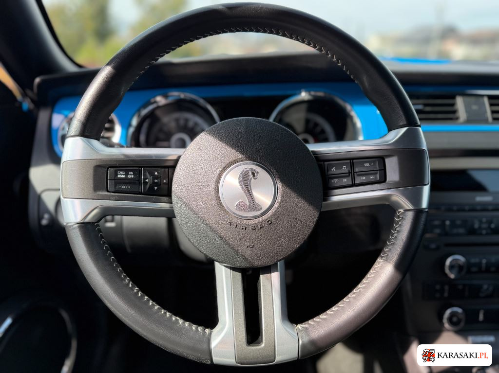 2014 Ford Mustang CP 13