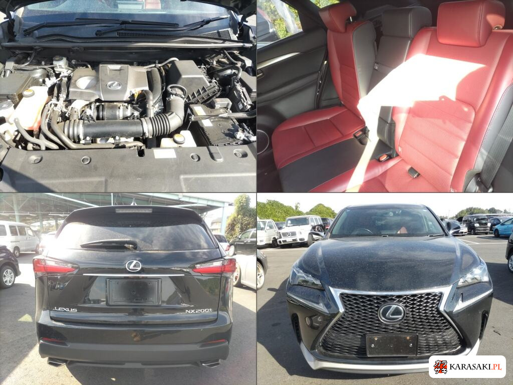 2016 Lexus NX NX200T F Sport 6