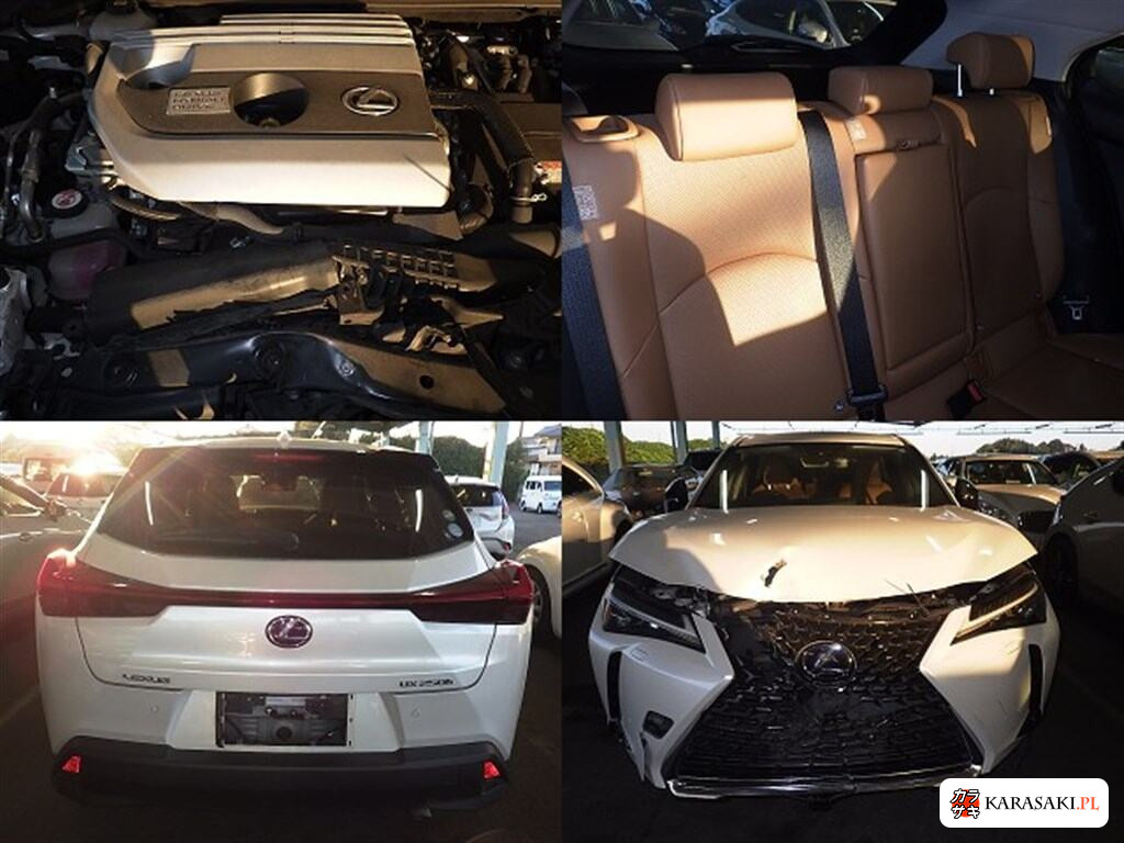 2021 Lexus Ux UX250H Version L 6