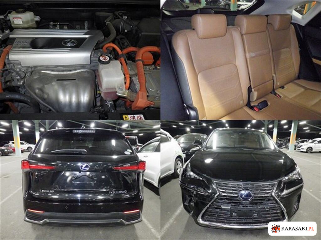 2020 Lexus NX NX300H Version L 6
