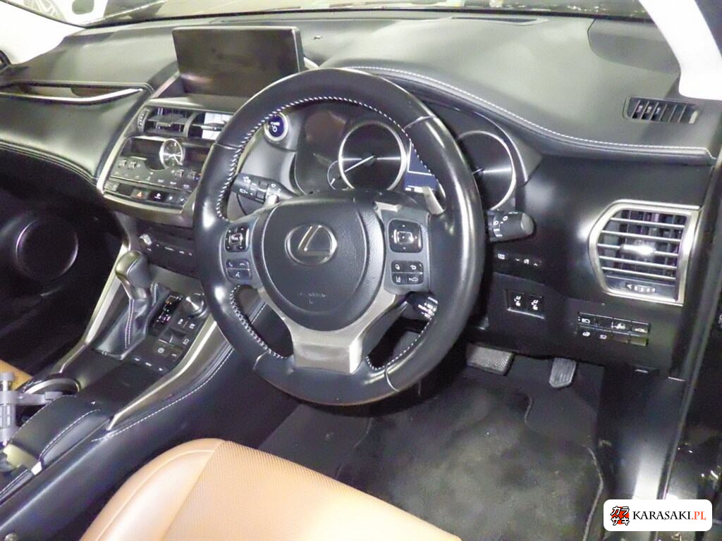 2020 Lexus NX NX300H Version L 5