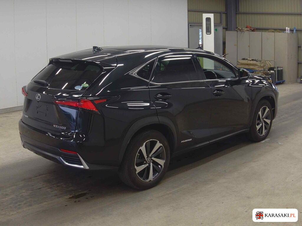 2020 Lexus NX NX300H Version L 4