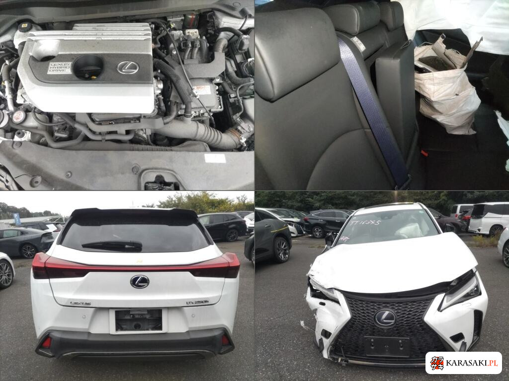 2021 Lexus Ux UX250H F Sport Style Blue 6