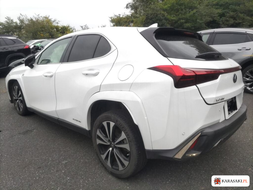 2021 Lexus Ux UX250H F Sport Style Blue 2