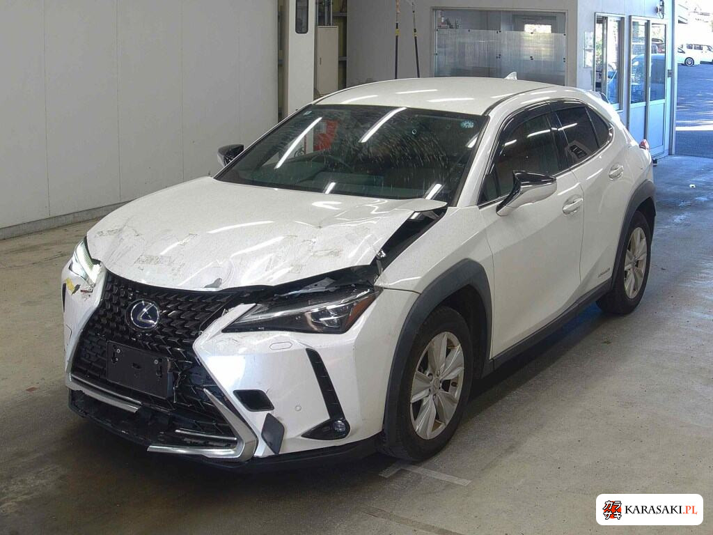 2021 Lexus Ux UX250H Version C 3