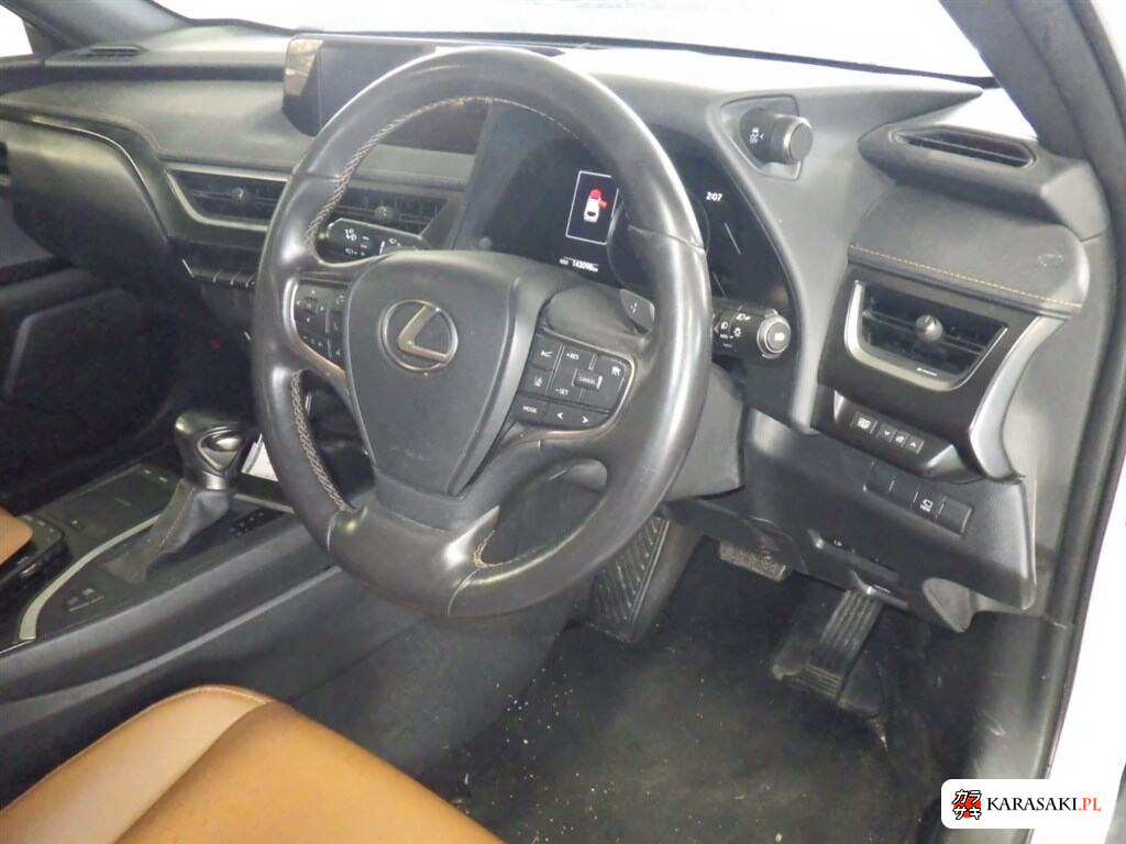 2021 Lexus Ux UX250H Version C 5