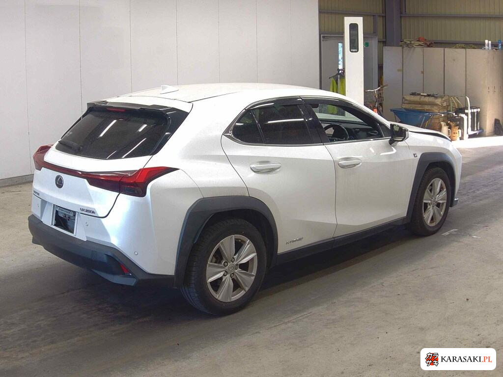 2021 Lexus Ux UX250H Version C 4