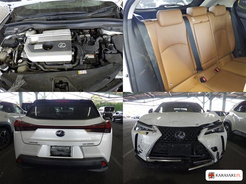 2021 Lexus Ux UX250H Version C 6