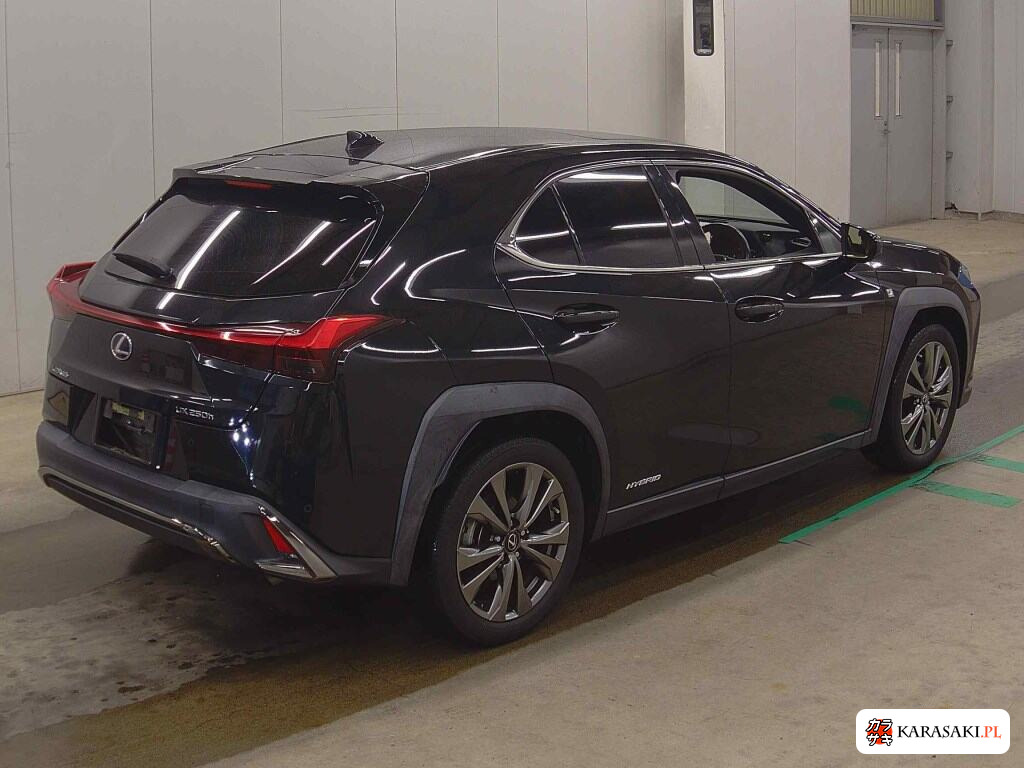 Lexus Ux 2020 z aukcji japońskiej