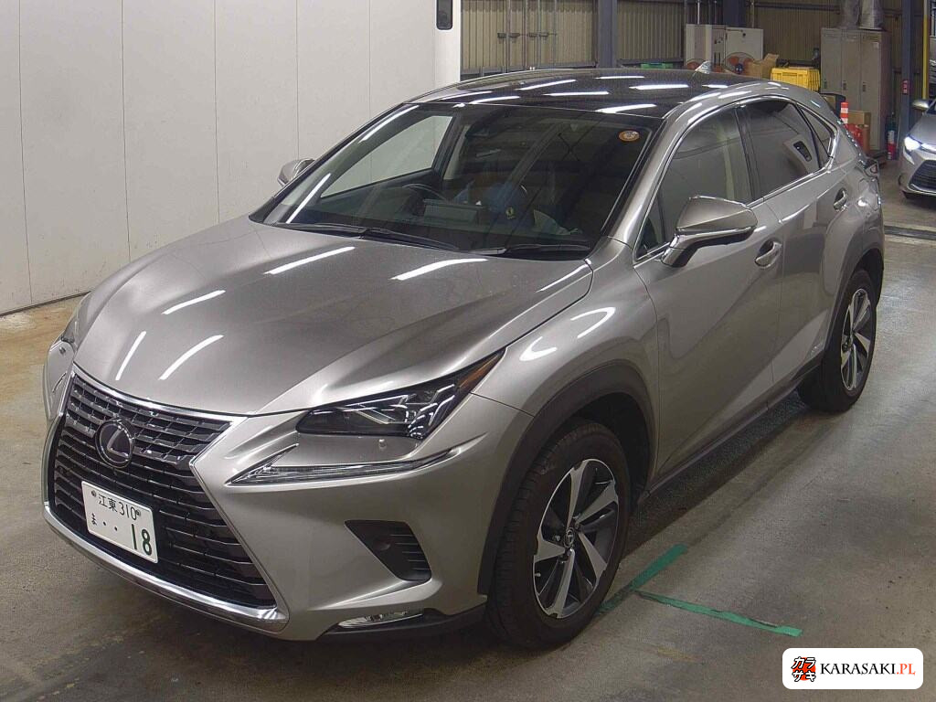 Lexus NX 2020 z aukcji japońskiej