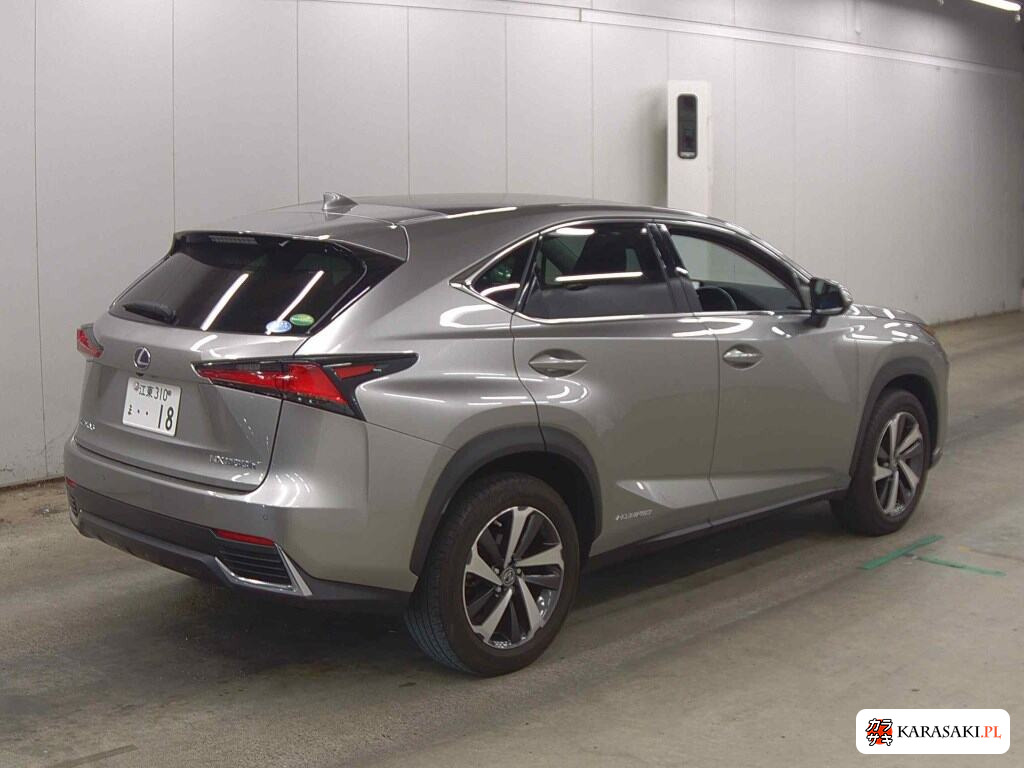 Lexus NX 2020 z aukcji japońskiej