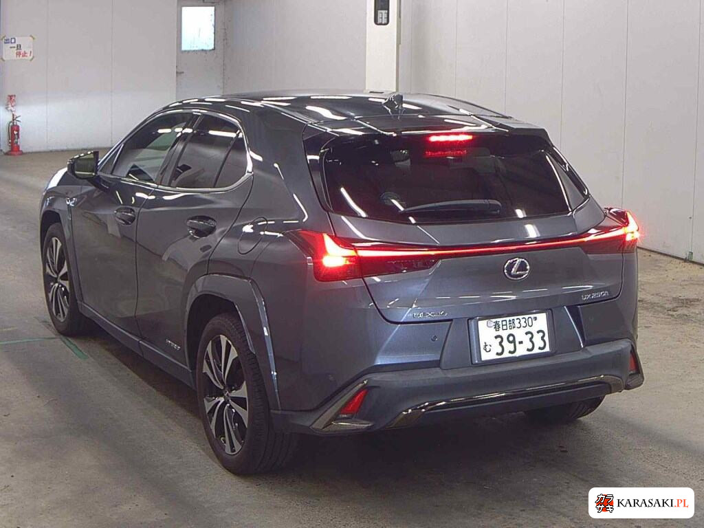 Lexus Ux 2022 z aukcji japońskiej