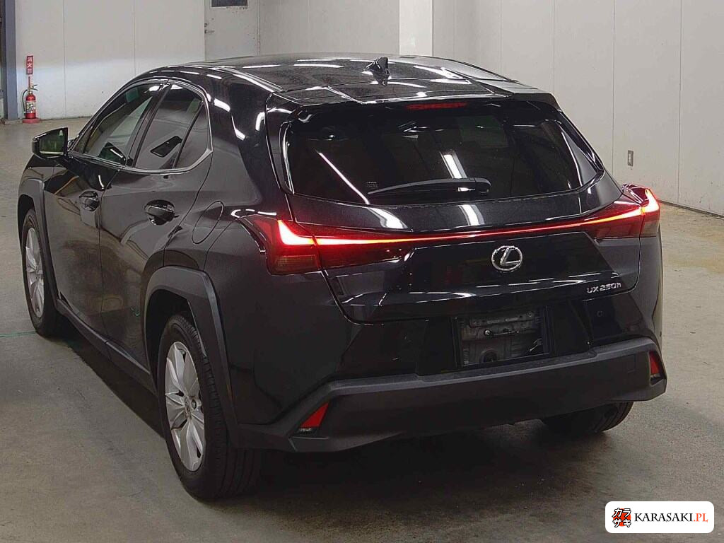 Lexus Ux 2023 z aukcji japońskiej