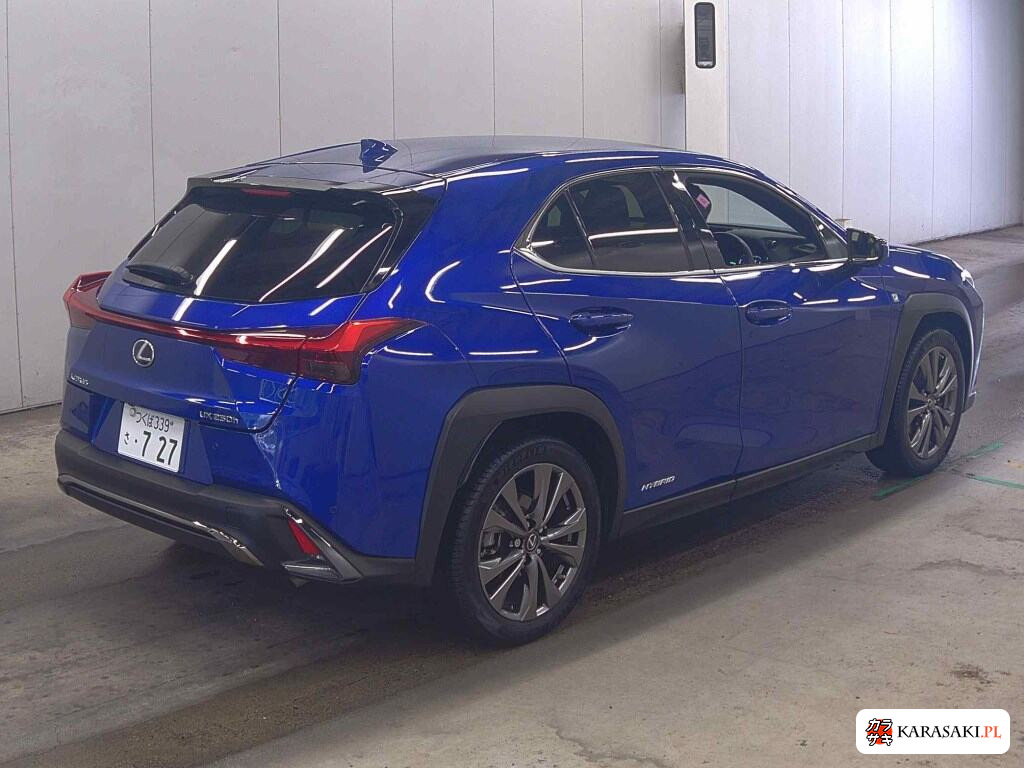Lexus Ux 2020 from a Japanese auction