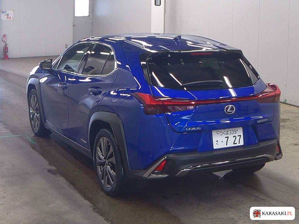 Lexus Ux 2020 from a Japanese auction