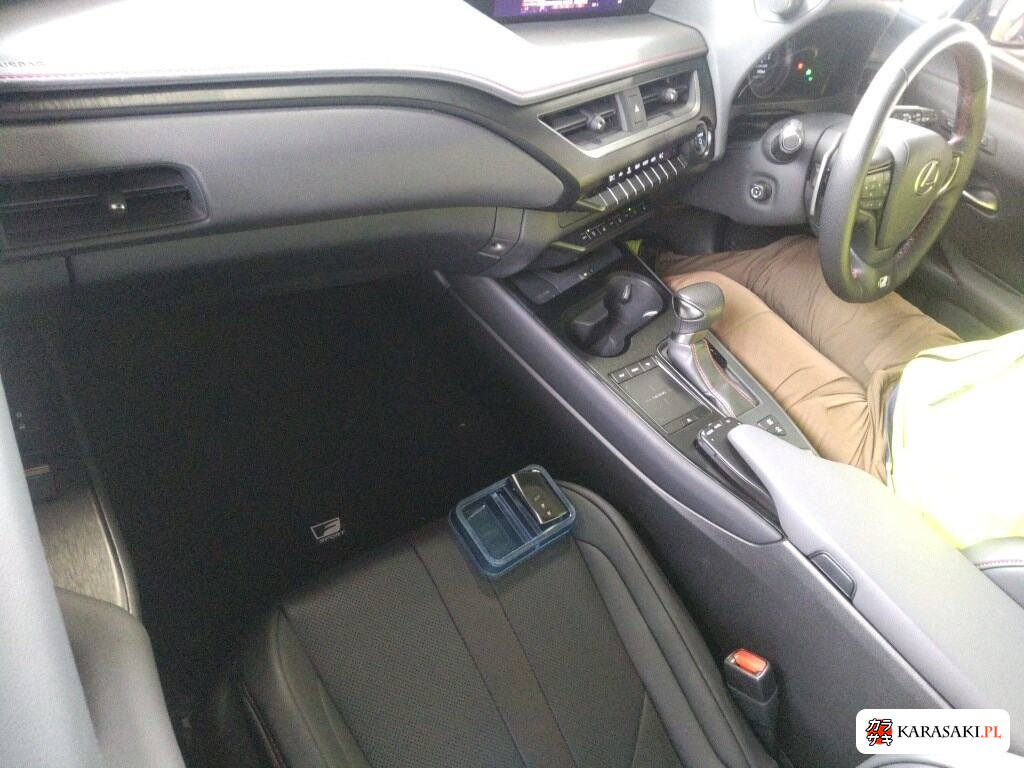 Lexus Ux 2020 from a Japanese auction
