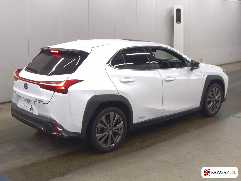 Lexus Ux 2021 z aukcji japońskiej