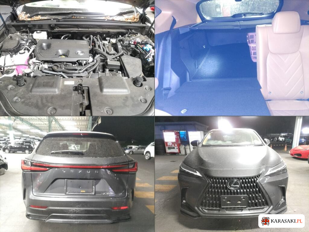 Lexus NX 2025 z aukcji japońskiej
