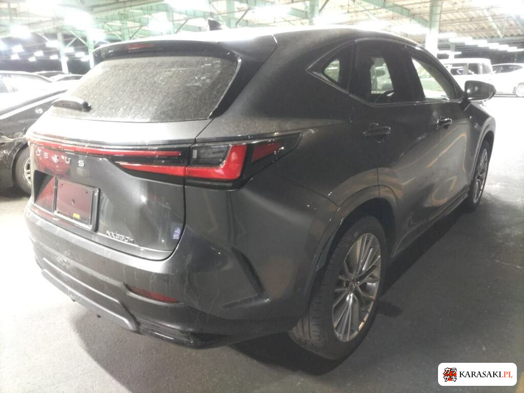 Lexus NX 2025 z aukcji japońskiej