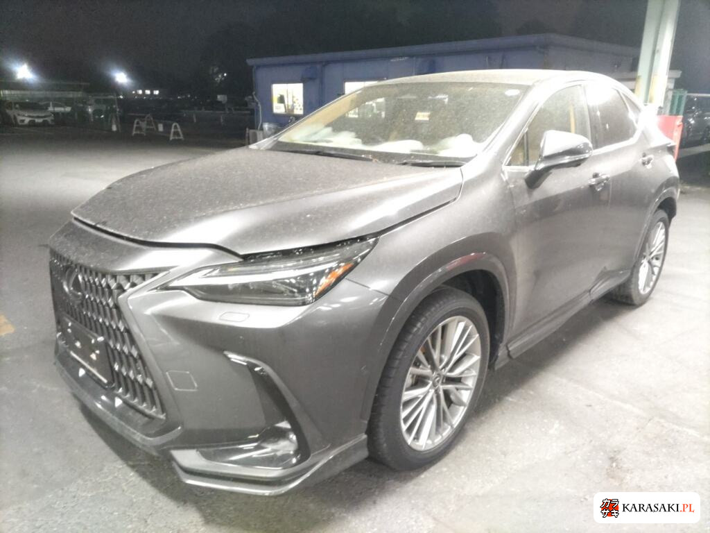 Lexus NX 2025 z aukcji japońskiej