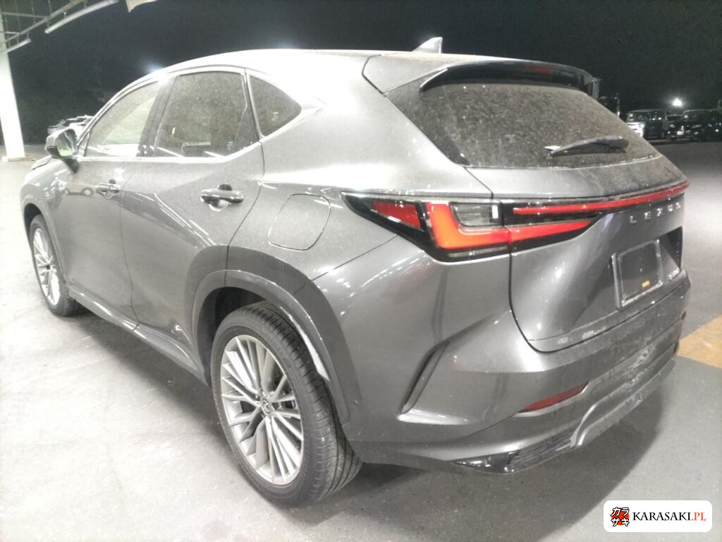 Lexus NX 2025 z aukcji japońskiej